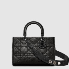 디올 레이디 D-Sire