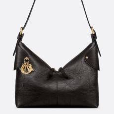 디올 Voyage 라지백