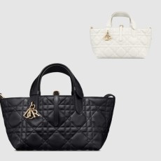 디올 뚜주흐 토트백 스몰