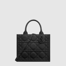 디올 북토트 백 스몰 M1325