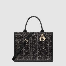 디올 북토트 백 미듐